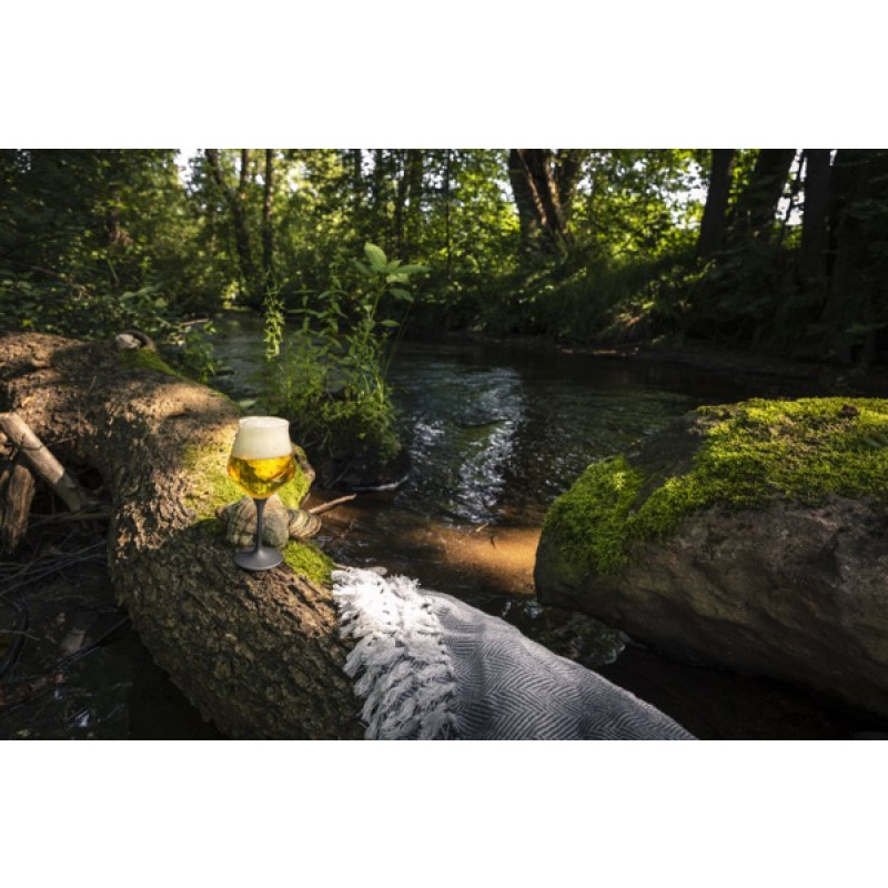 Eisch Gläser Krüge & Biergläser online kaufen