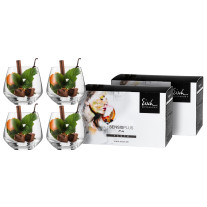 Whiskyglas Sky SENSISPLUS - 4 Stück im Geschenkkarton