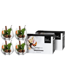 Whiskyglas Sky SENSISPLUS - 4 Stück im Geschenkkarton