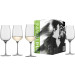 Weißweinglas Vinezza - 4 Stück im Geschenkkarton
